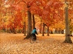 Riding in the Par...