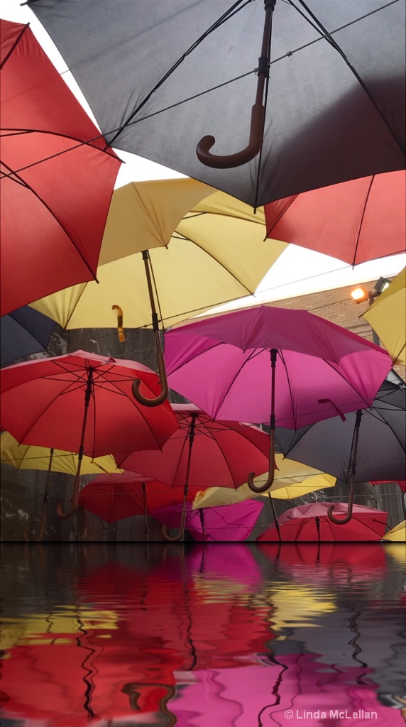 Umbrellas Reflected