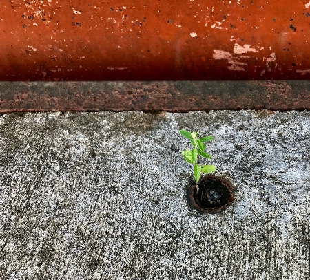 The Last Circle of Earth 