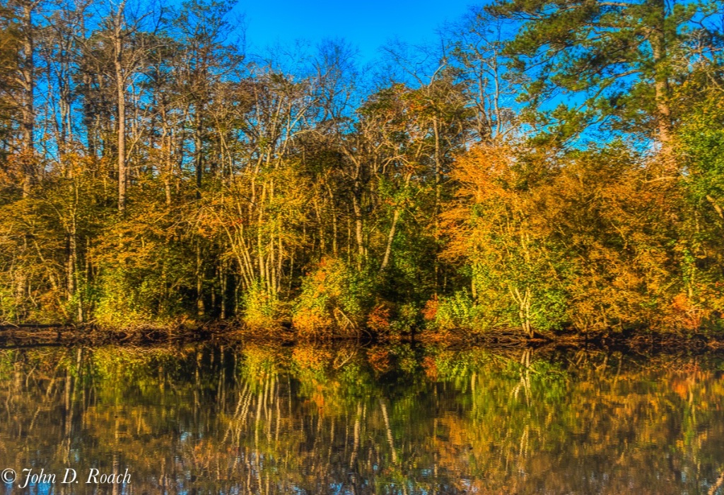 Autumn Reflections on the River - ID: 15653344 © John D. Roach
