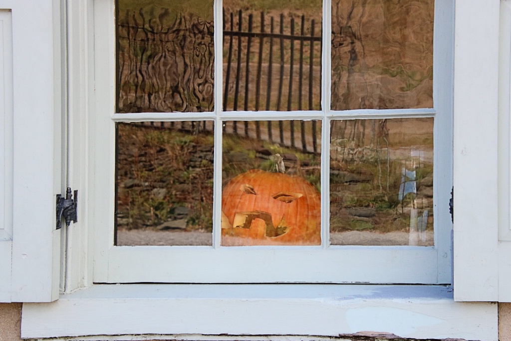 Face in the Window