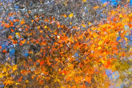 Autumn Creek Reflection