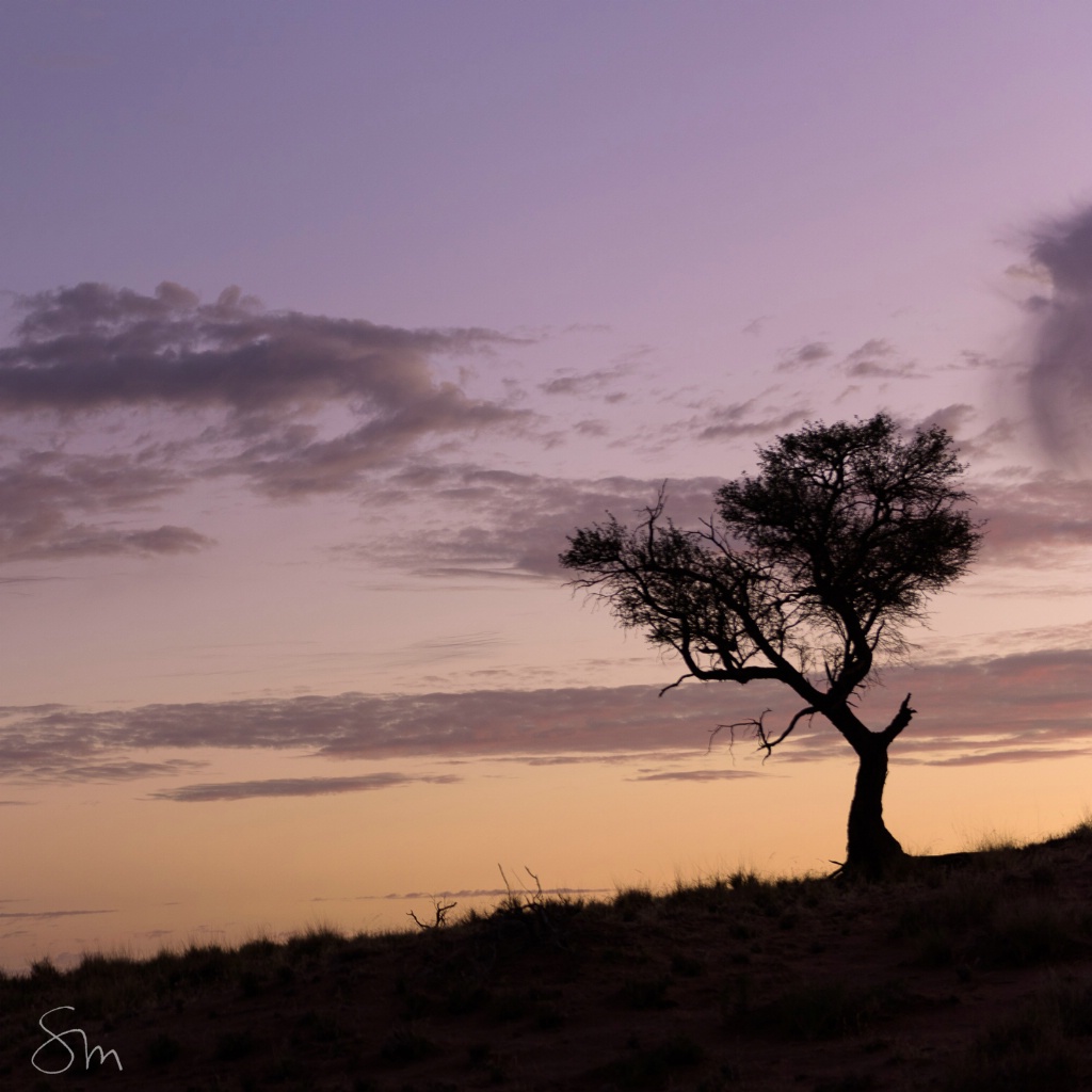 Tsondab Evening sky -  Namibia - ID: 15654198 © Sibylle G. Mattern