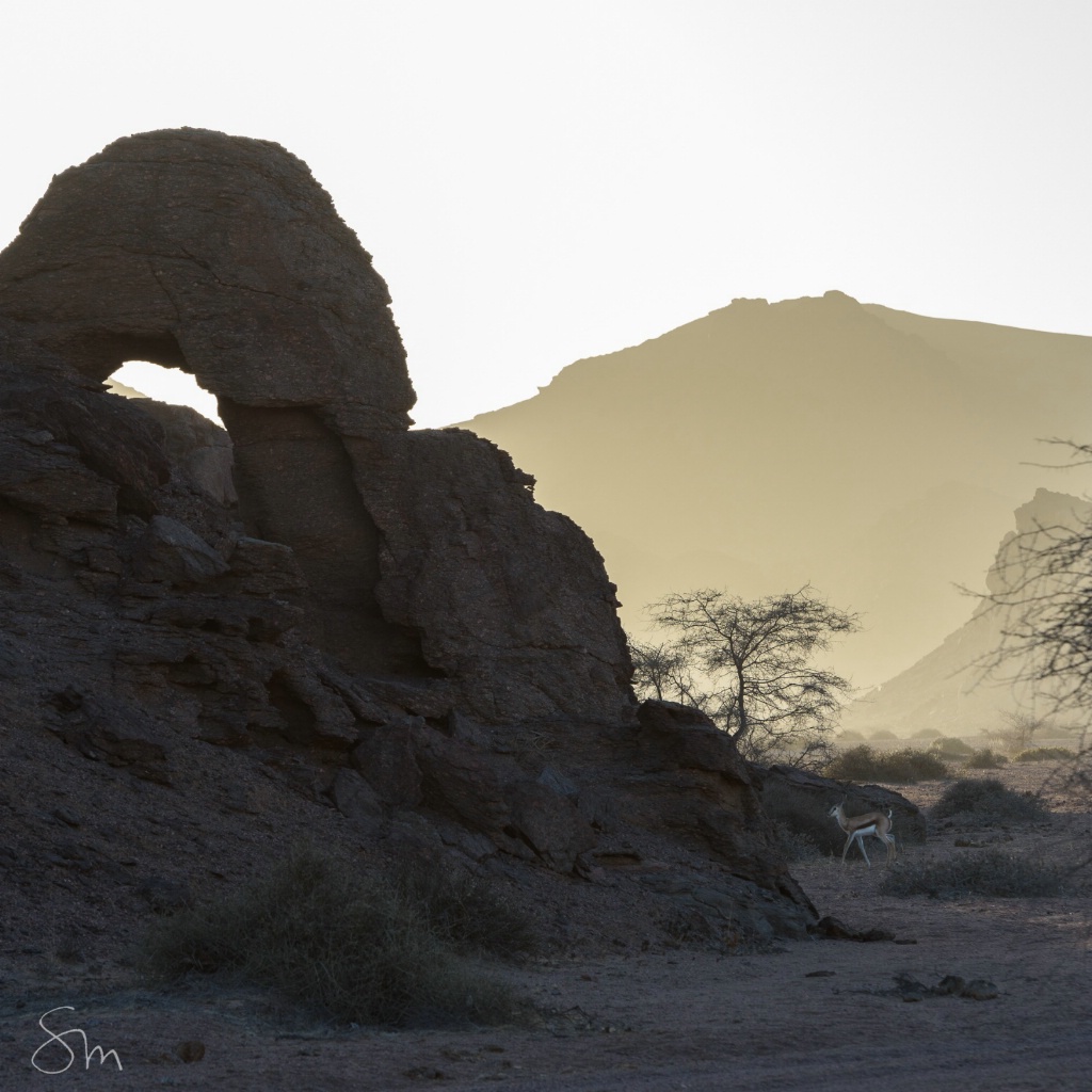Hoanib Valley- Namibia - ID: 15654199 © Sibylle G. Mattern