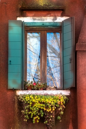 Window in Venice 