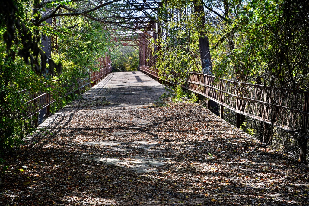 ------"The Brazos Point Bridge"--------