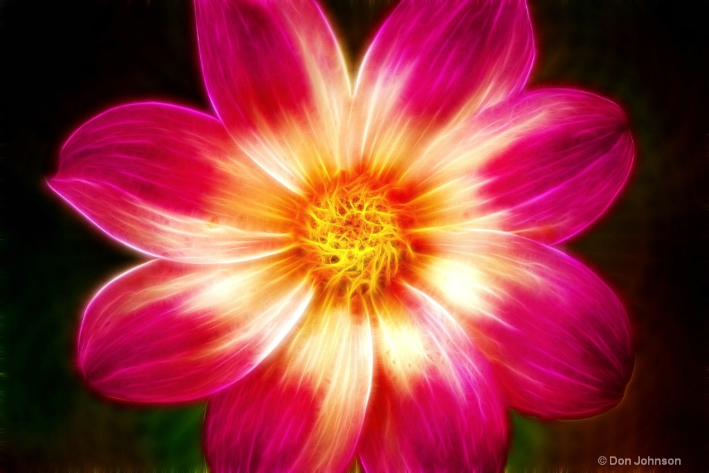 Artistic Another Amazing Dahlia 6-0 F LR 9-30-18 J