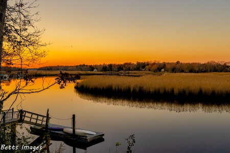 Tuckahoe River Geese south