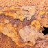 © Krista Cheney PhotoID# 15655307: Rust on a shipwreck