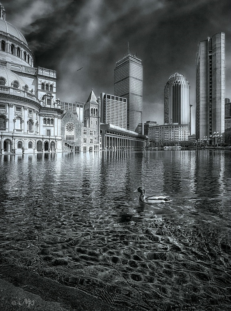 Big City contrasts. And the duck was there too.