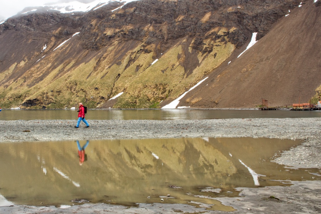 South Georgia Reflections