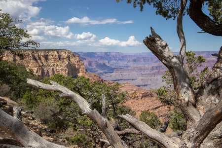 Glimpse of the Grand Canyon