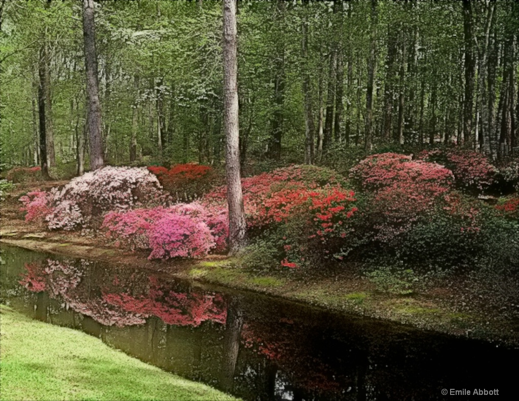 Callaway Gardens - ID: 15656096 © Emile Abbott