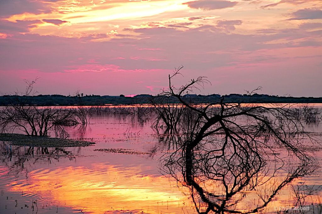 SUNSET SILHOUETTES  REFLECTED SHADOWS  - ID: 15656097 © Emile Abbott