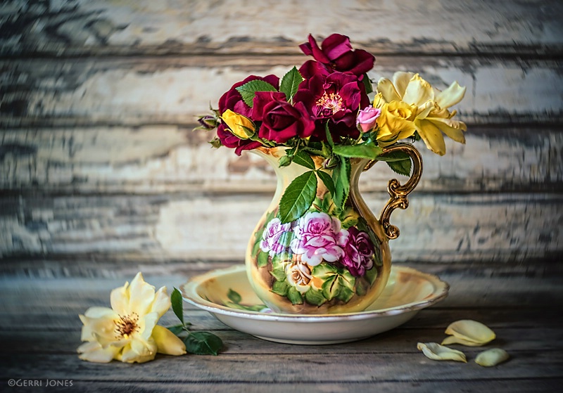 Cottage Roses Still Life