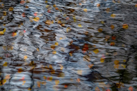 Autumn Waters