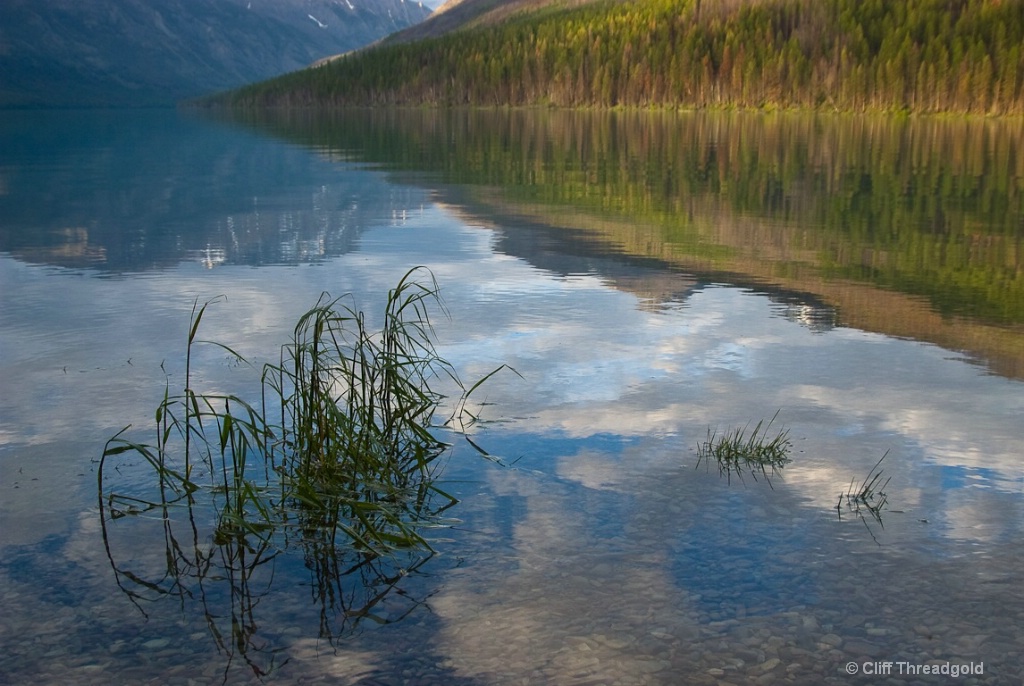 Still Lake reflection