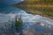 Still Lake reflec...