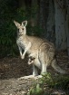 Mother and baby