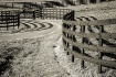 Fence Line