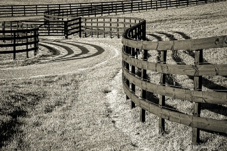 Fence Line