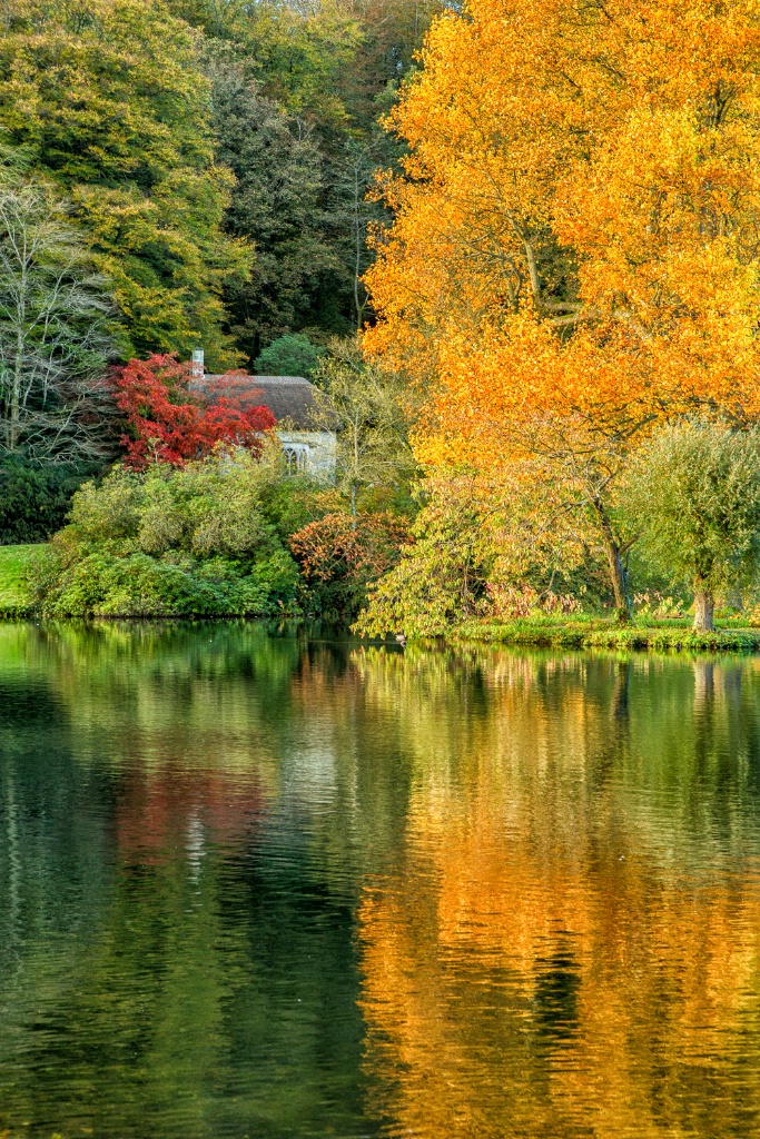 Autumn Reflections