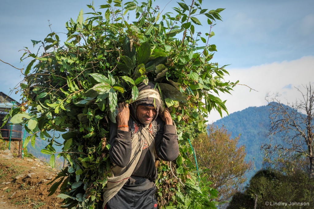 Life in Nepal