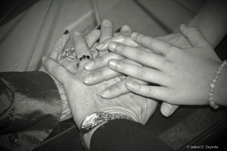 4 generations of hands