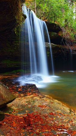Caney creek falls, bankhead national forest. 