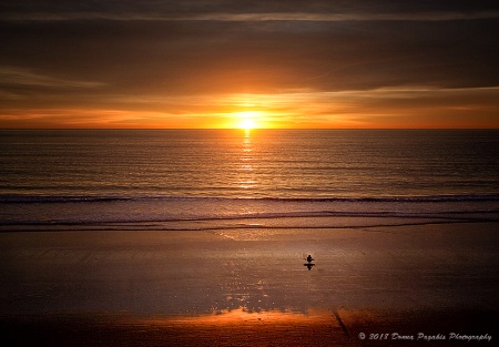 Solitary Surfer at Sunset