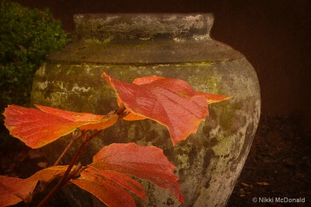 Autumn Leaves and Urn