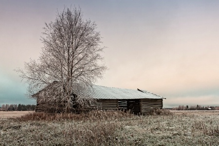 Long Barn House On The Frosty Fields