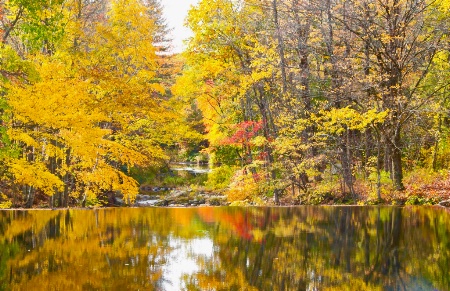 Autumn Reflection