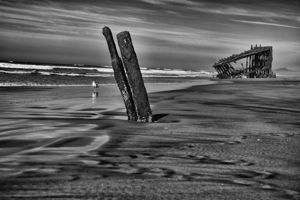 Peter Iredale and old wreckage horizontal 2