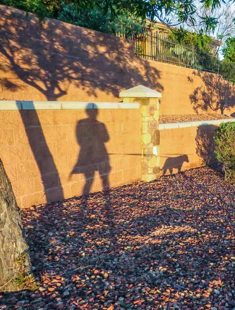 me and my shadow - ID: 15661201 © Nancy Auestad