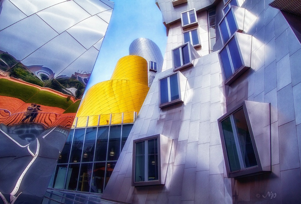 Contrasts of Frank Gehry