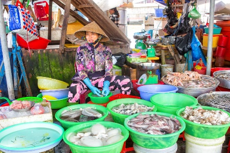 Vietnamese Street Market
