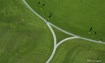 Birds eye - Claud...