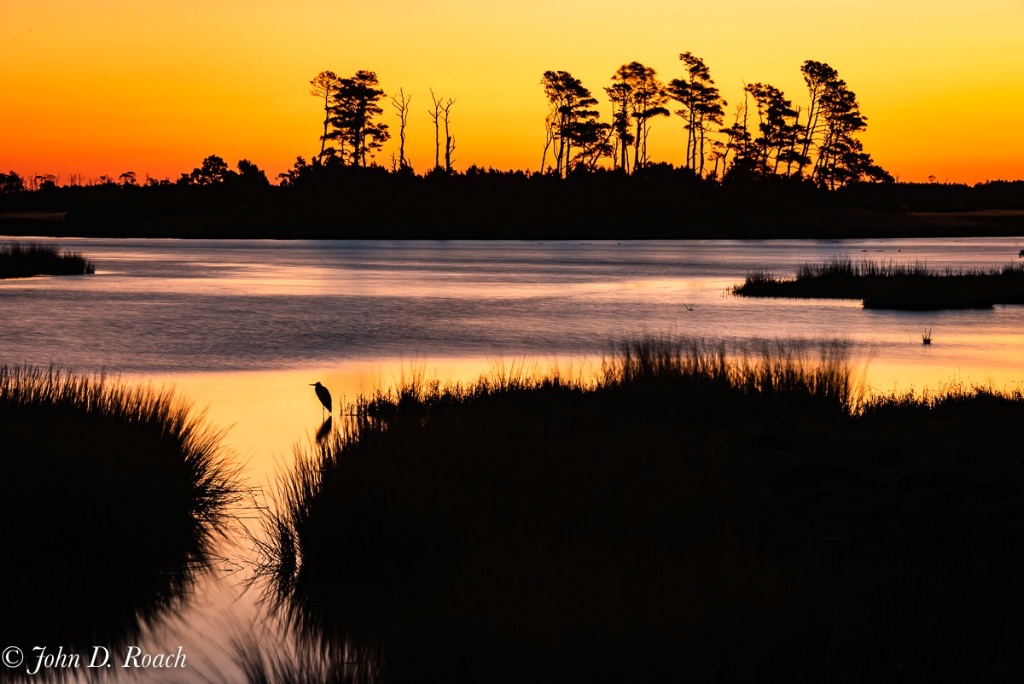 A Morning at the Marsh - ID: 15661944 © John D. Roach