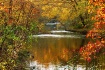 Autumn Creek