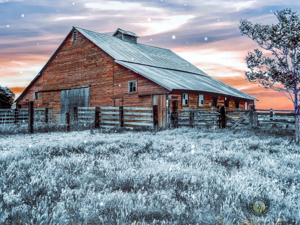 Snow Day at The Farm