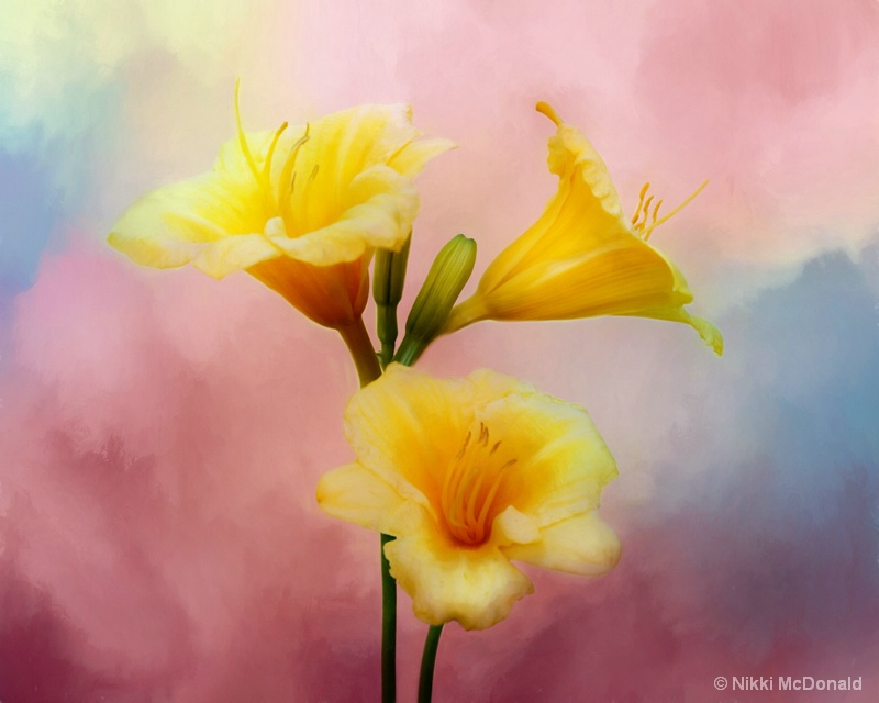 Lily Trio, Painted