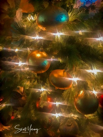 O Christmas Tree, O Christmas Tree