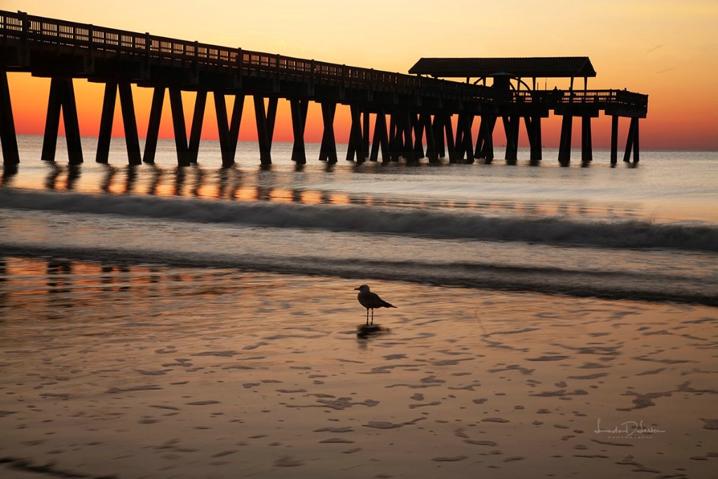 Tybee Pier