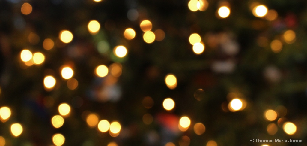 Christmas Lights - ID: 15665269 © Theresa Marie Jones