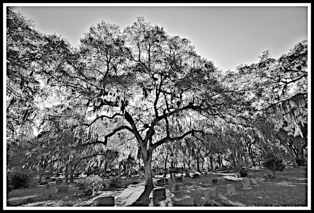 Southern Cemetery