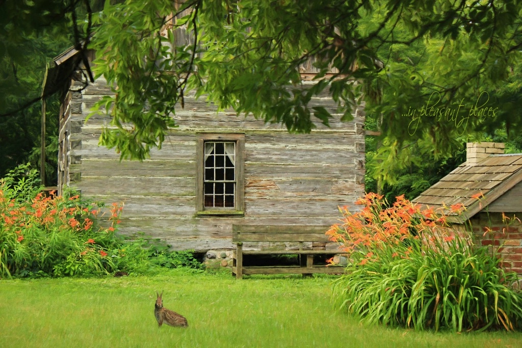 Visitor at Cross Creek