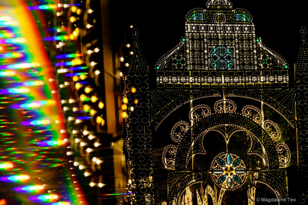 Gardens by the Bay Singapore Christmas Lighting