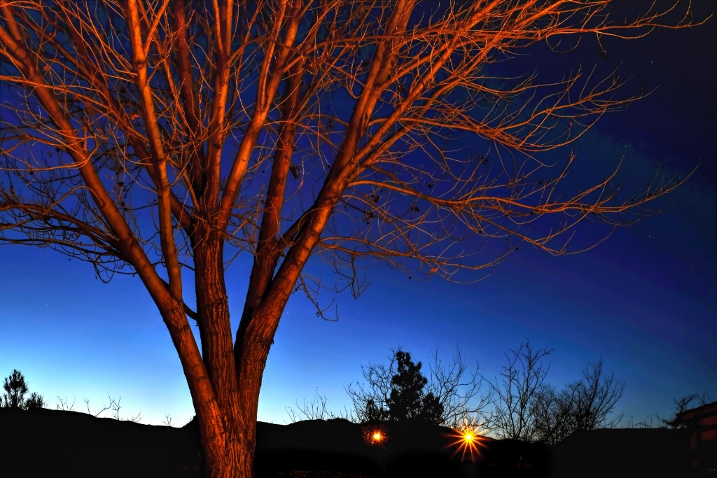 in the glow of the blue hour