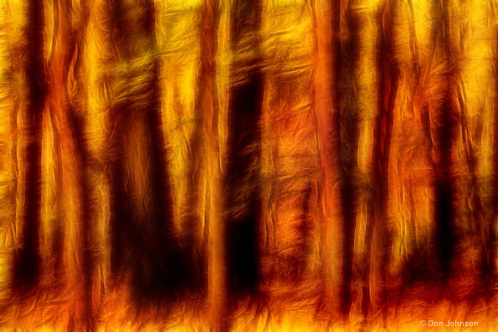 Artistic Fall Forest Swipe 6-0 F LR 11-8-18 J007